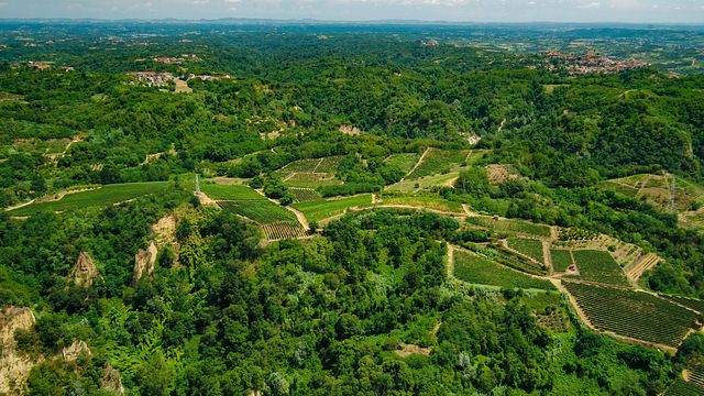 Cata y visita de Nebbiolo en Poderi Vaiot