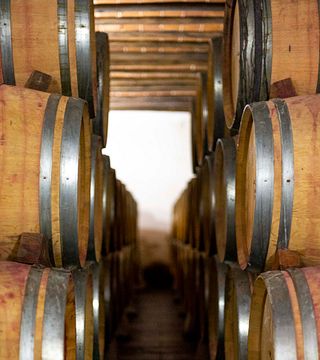 Besuch und Weinprobe am Monte do Pintor