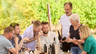 Vin- och olivoljeprovning