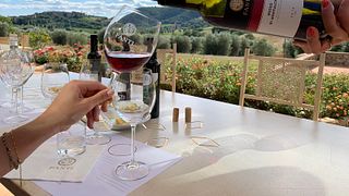Degustação de Vinhos Tradicionais