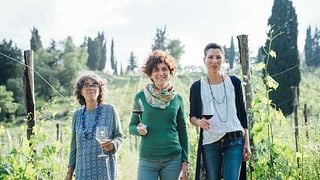 Wine Tasting at Vecchie Terre Di Montefili