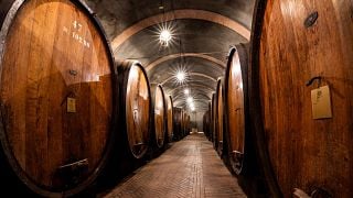 Visita guiada y cata "La Selección" en Bodega Bersano