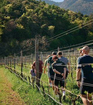 Visita guidata della fattoria e degustazione di vini presso Thomas Niedermayr - Hof Gandberg
