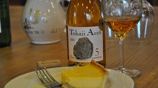 Cata de vinos y visita a los viñedos y bodegas de Béres