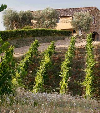 Degustação de vinhos no Castello di Selvole