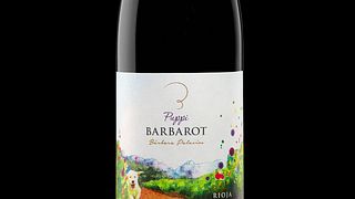 Degustazione di vini e tour a Bárbara Palacios