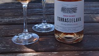 Vom Land zum Meer – Weinprobe bei der Pico Island Wine Cooperative – Picowines