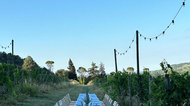 Dîner dans les vignes