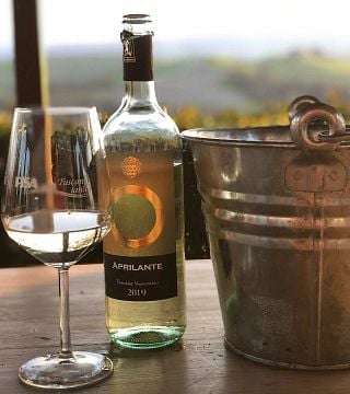 Spaziergang durch den Weinberg mit einem Glas Wein