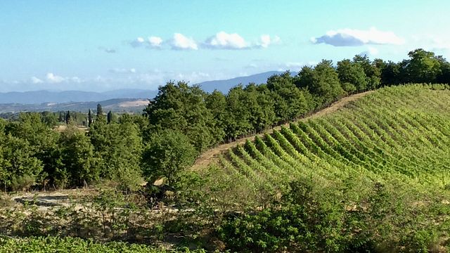 Azienda Agraria San Gregorio