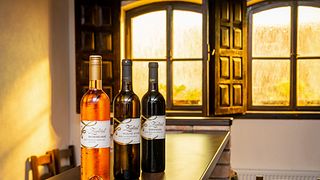 Weinprobe im Vinařství Zapletal