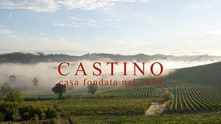Cata de vinos y visita guiada en Castino