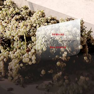 Domaine Jean-René Germanier - Valaisan Aperitif & Wine Tasting Tour at ...