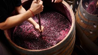 Winery and Viticulture Gerokostopoulos