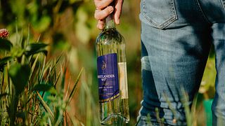 Visite guidée avec dégustation de vins