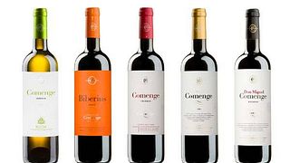 Castilla y León Wine & Vineyard Journey at Bodegas Comenge