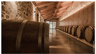 Weinprobe im Vignobles Rousselot