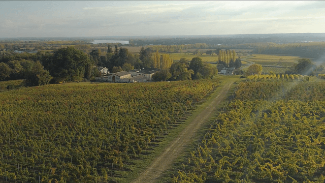 Degustazione e visita del Château l'Escarderie 