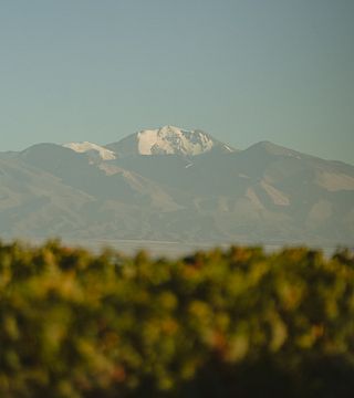 French Heritage | Bodega Alta Vista