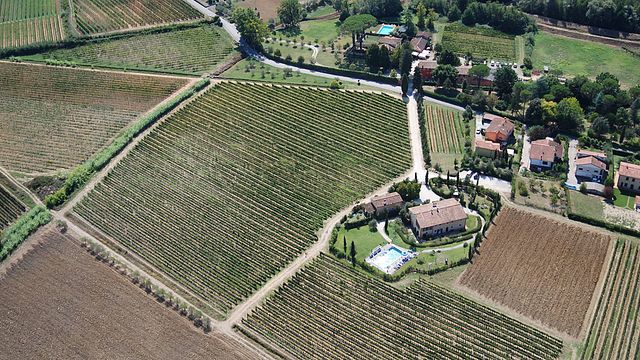 Tuscan Organic Wine Tour & Tasting at Fattoria Sardi