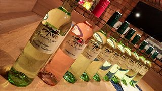 Degustação de vinhos e tour na vinícola Wimberger