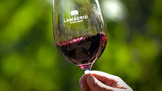 Los Famosos-provning på Lamadrid Estate Wines