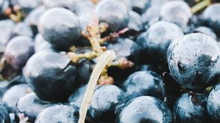 Degustazione di vini e visita alle Caves De Rauzan
