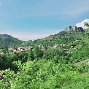 Unique Experiences at Family Boutique Winery Kiossev