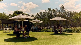 St Leonards Vineyard