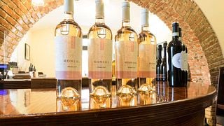 Weinprobe und Tour im Weingut Casale Vallechiesa