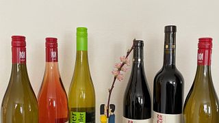 Degustação de vinhos e caminhada pela vinícola em Weingut Lämmlin-Schindler