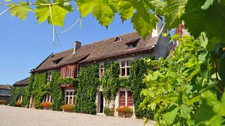 Cata de vinos y visita al Château Puyfromage