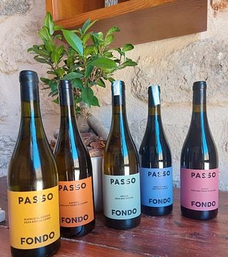 Dégustation de 5 étiquettes Tenute Baglio Passofondo