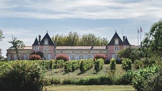 Bordeaux Elegance: Château Loudenne Tour & Picnic