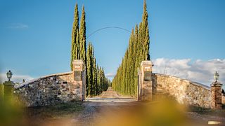 Montalcino: visita guidata alla cantina e degustazione di prodotti gourmet