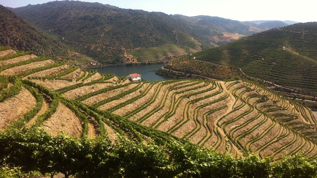 Quevedo Winery - Quinta Senhora do Rosário
