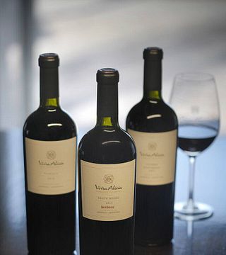 Cata y tour de vinos en Viña Alicia