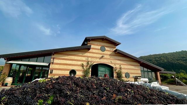 Clementi Winery
