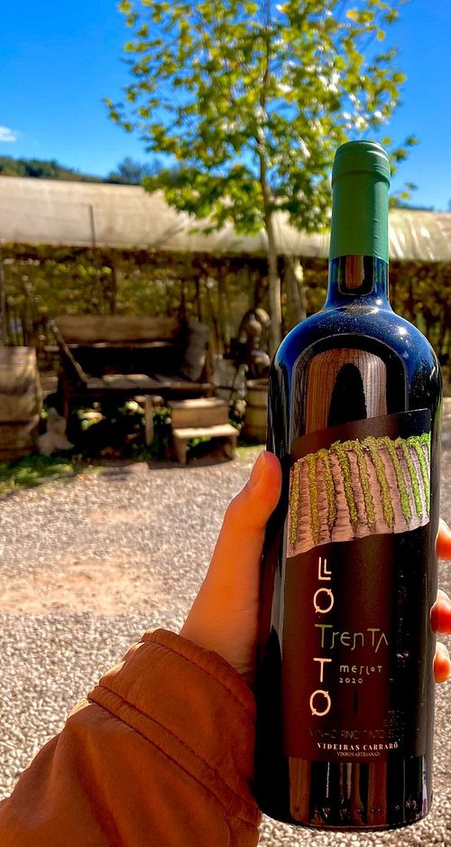 Lotto Trenta - Vinicola Videiras Carraro