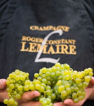 Champagne Roger-Constant Lemaire