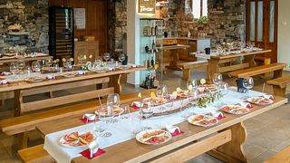 Tour de vinos y degustación en Vinska Klet Tavčar - Pri Starči