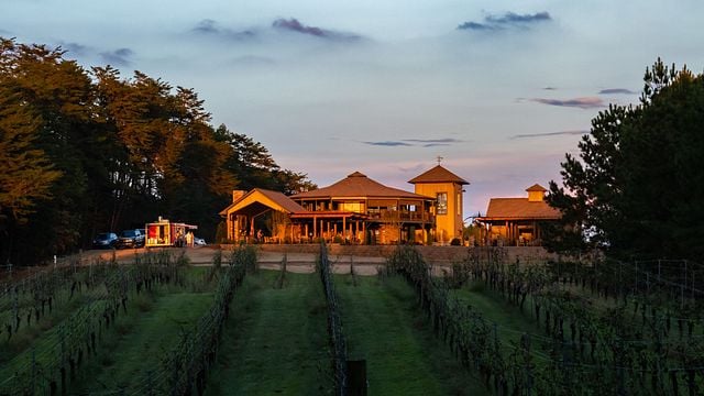 Mountain Brook Vineyards