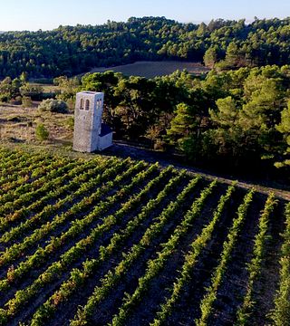 Degustazione di vini biologici e visita in cantina