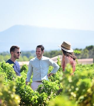 Vin och sensorisk upplevelse på Le Jas des Papes