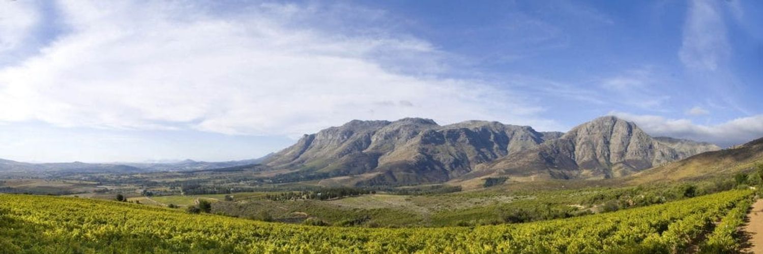 Stellenbosch-vinregionen-landskap Hqljik