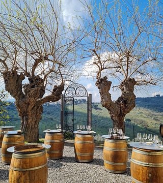 Diadema Wine & Evo