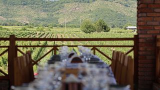 Forfait dégustation de vins VIP