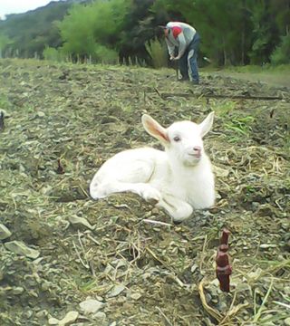 Domaine Jorel