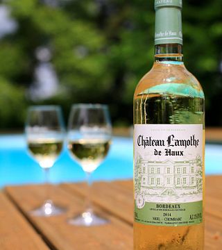 Dégustation et visite de vins au Château Lamothe De Haux