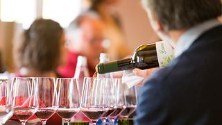 Piedmont Barolo Wine Journey at Sara Vezza